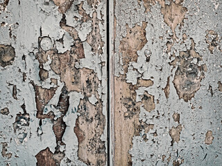 fragment of old dirty wooden doors with peeling gray paint