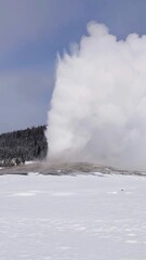 Old Faithful Yellowstone Winter