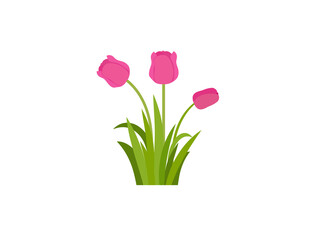 Colorful card of flowers (tulips) and petals. Vector illustration. Spring