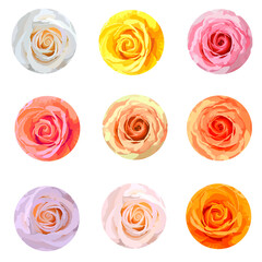 Roses heads circle backgrounds