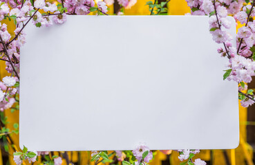 Paper blank between flowering almond branches in blossom. Pink flowers as a frame.