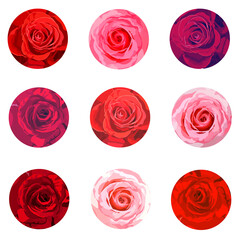 Roses heads circle backgrounds