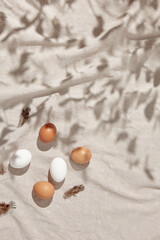 Easter background with yellow and white natural eggs. Happy easter spring layout with sunshine and harsh shadow. Spring, retro, hunt, rustic concept.