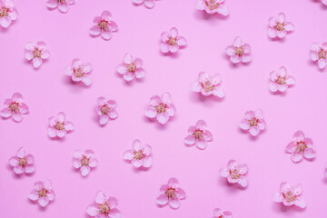 Beautiful fresh peach flower pattern on pink background.  Symbol of life beginning and the awakening of nature.