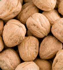Closeup of European walnuts - background