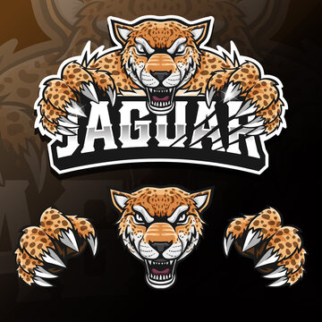 angry wild animal jaguar isolated esport logo illustration
