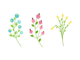 set of decorative stylized plants for the design of postcards, packaging, price tags, advertising, wrappers. Vector illustration.