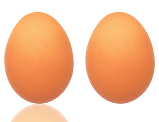 Egg isolated on the white background with Clipping Path.