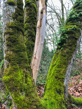 Mercer Slough Nature Park