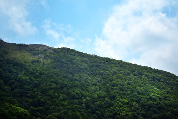 Obraz premium Deciduous forest covering mountains. The fog is ascending. Markotkh Ridge 