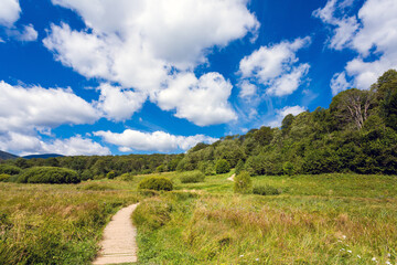 Polonina Carynska path in Bieszczady
