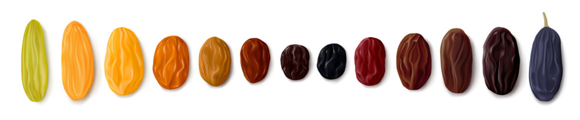 A variety of raisins. Row of dried grapes in different colors and sizes. White background. Top view. Realistic vector illustration
