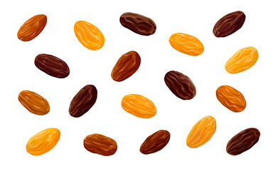Sultanas, Golden and brown Thompson raisins isolated on white background. Realistic vector illustration.