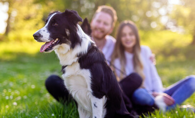 Happy couple in love with a dog in the park
