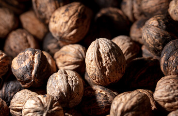 Fresh walnuts on drying as background.