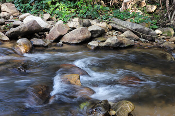 Beautiful jungle at Mae Kham Pong. Eco-tourism destination in Chiang Mai province, Thailand.