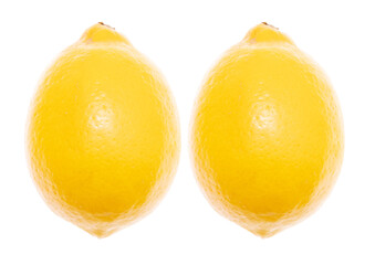 Yellow lemons on a white background.