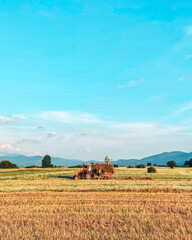 Naklejka premium Farmers harvesting in the fields near Otocac, Croatia