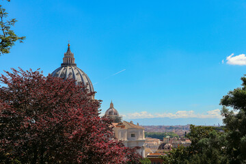 View of the dome of St. Peter's Basilica from the Vatican Gardens,in the foreground the crowns of trees. Dome on the background of a clear blue sky, in the distance the cityscape of the roofs of Rome