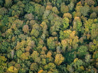 vue aérienne de la forêt de Songeons dans l'Oise en automne