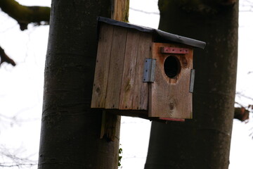wooden bird house on a tree in the forest