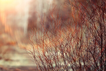 spring branches young leaves, abstract background seasonal march april, buds on branches nature