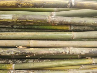 Brown bamboo fence background and texture.