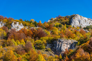 autumn in the mountains
