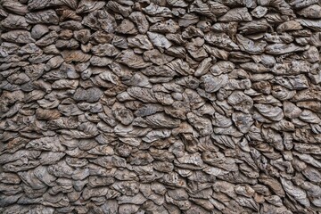 Wall background made of sea oyster shells in Xunpu village in Quanzhou, China.