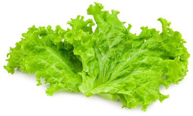one salad leaf isolated on a white background. full depth of field. clipping path
