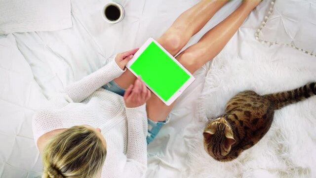 Top down view of a woman sitting on the bed using a tablet device with a blank green screen - swipe left to right. Bengal cat sitting nearby.