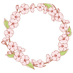 Sakura vector frame 桜の手描き風フレーム