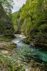 Naklejka na ściany i meble Vintgar Gorge in the Julian Alps (Slovenia, Europe)