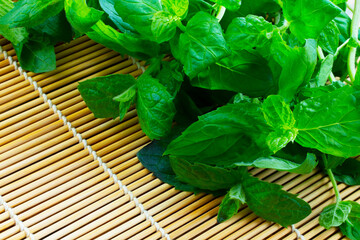 Peppermint on the snow, covered with snow during January, winter.