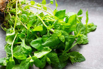 Fresh mint on wooden table copy space