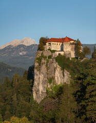 Fototapeta na wymiar Bled Castle near Lake Bled in Slovenia (Europe)