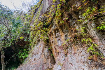 鵜殿の石仏群　佐賀県唐津市　Udonosekibutsugun Saga-ken Karatsu city