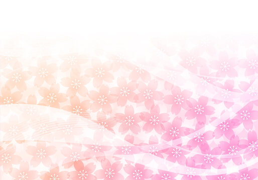 曲線と桜の花の鮮やかなグラデーションの背景イラスト素材