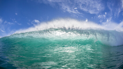 Ocean Wave Swimming Encounter Backlit Panoramic Photo