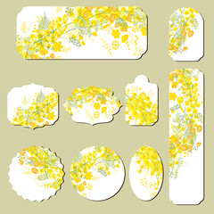 Set with different floral cards with yellow mimosa. Illustration can be used for festive and romantic design templates.