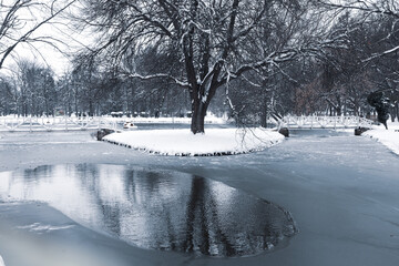 Scenic view of a tree and its reflection in frozen water in winter; winter background.