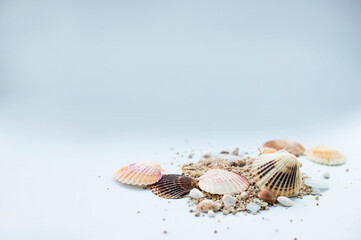 Sand, sea glass and seashells over light blue background. Image with copy space