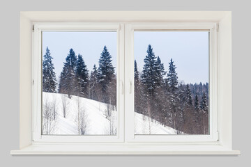 View from the window winter forest