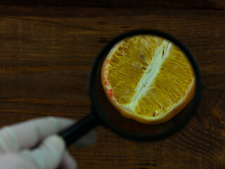 Ugly food trend. Spoiled yellow lemon half with red mold close up on wooden background. Moldy...