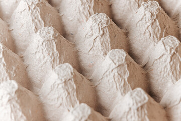 Empty cardboard container for eggs close up.