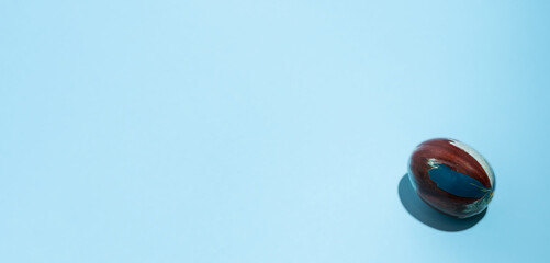 Easter egg on light blue background. Happy Easter concept. Minimal concept. Flat lay. Top view.