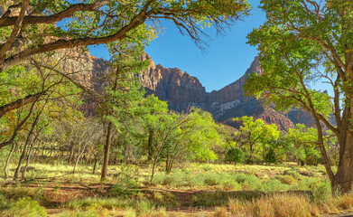 Beautiful landscapes, views of incredibly picturesque rocks and mountains in Zion National Park, Utah, USA