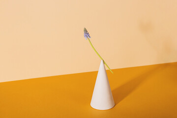 Spring modern still life with white geometric shape cylinder and blue muscari flower on a neutral background. Minimal spring concept