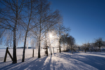 Winterlandschaft mit Sonnenstern der durch die Äste scheint, eisiger Sonnentag im Winter
