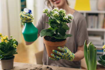 woman planting and watering her houseplants in her room